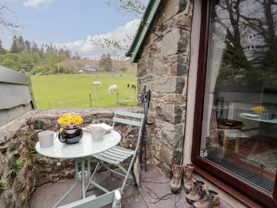 Y Gribyn - Modern Stone Cottage Within Snowdonia'S National Park ดอลเกซเซย์ ภายนอก รูปภาพ