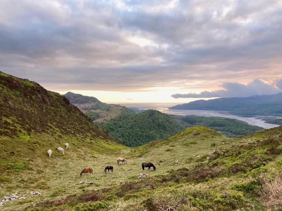 Y Gribyn - Modern Stone Cottage Within Snowdonia'S National Park ดอลเกซเซย์ ภายนอก รูปภาพ