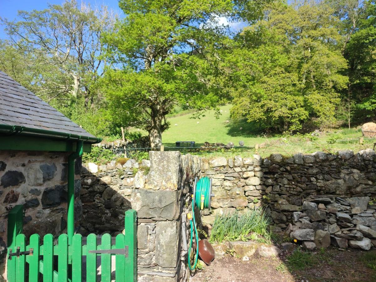 Y Gribyn - Modern Stone Cottage Within Snowdonia'S National Park ดอลเกซเซย์ ภายนอก รูปภาพ