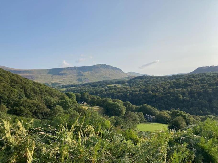 Y Gribyn - Modern Stone Cottage Within Snowdonia'S National Park ดอลเกซเซย์ ภายนอก รูปภาพ