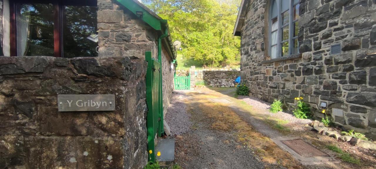 Y Gribyn - Modern Stone Cottage Within Snowdonia'S National Park ดอลเกซเซย์ ภายนอก รูปภาพ