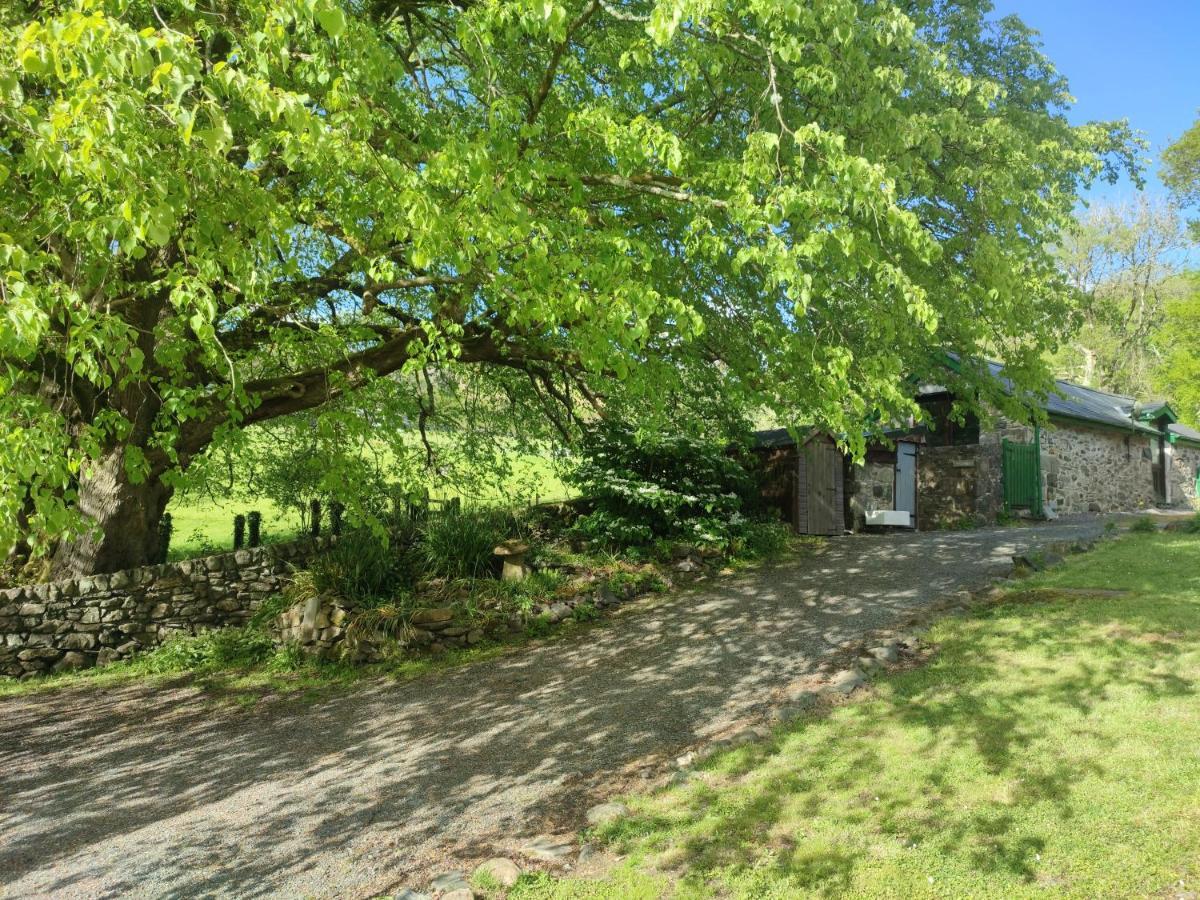 Y Gribyn - Modern Stone Cottage Within Snowdonia'S National Park ดอลเกซเซย์ ภายนอก รูปภาพ